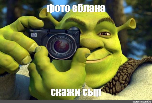 Шрек фотографирует