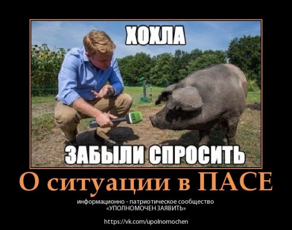 Папочка зол