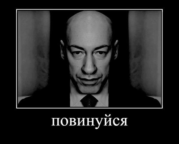 Дмитрий Гордон человек яйца