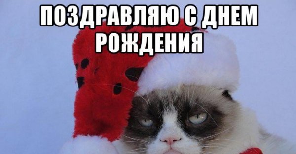 Поздравления с днём рождения мемы