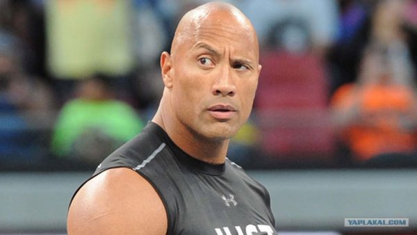 Дуэйн скала Джонсон бровь