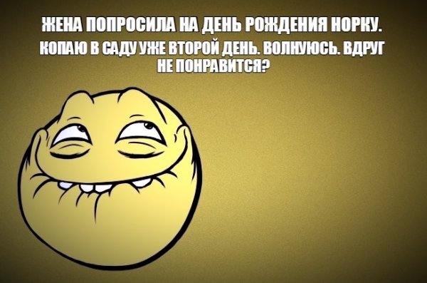 Мемы с др