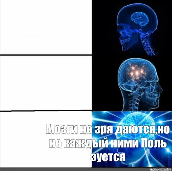 Миша Мем с мозгом