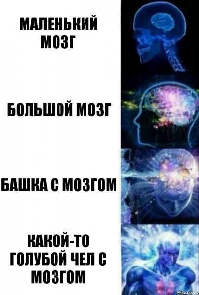 Маленький мозг