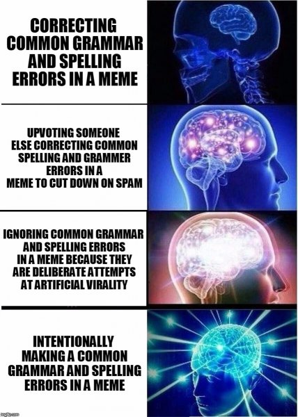 Мозг Мем