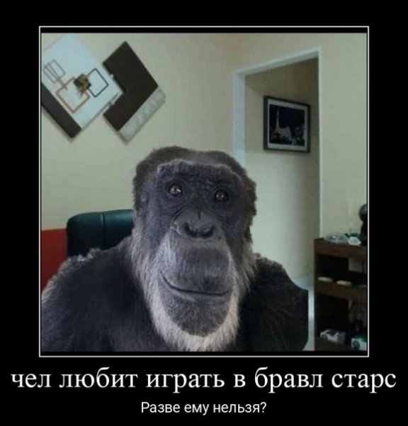 Ладно обезьяна Мем