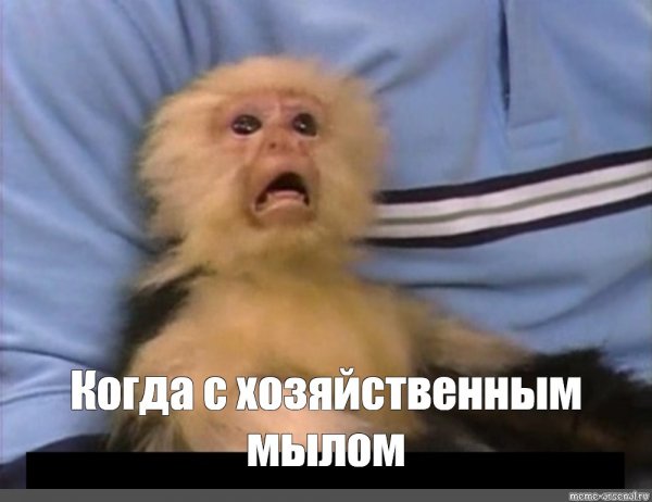 Крик испуганной мартышки Мем