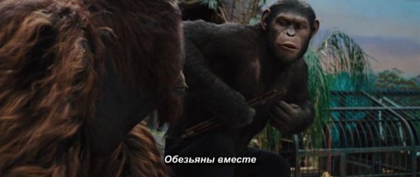 Планета обезьян Мем обезьяны вместе сила