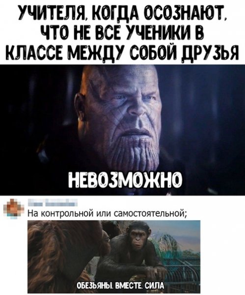 Обезьяны вместе сила Мем