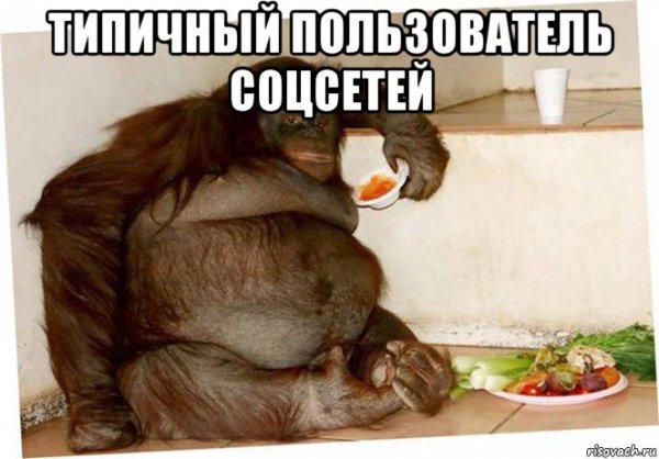 Обезьяны вместе сила оригинал