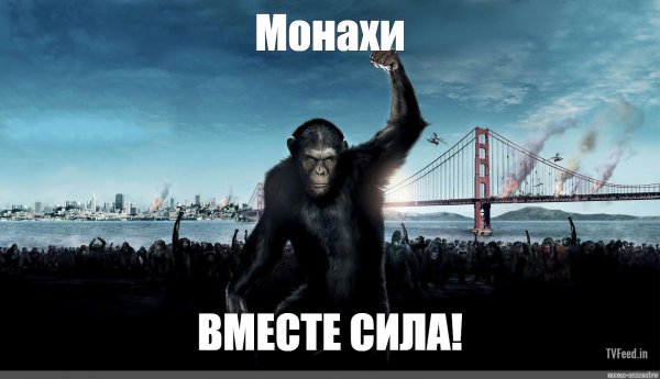 Обезьяны вместе сила Мем