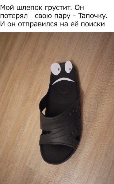 Шлепанцы прикол