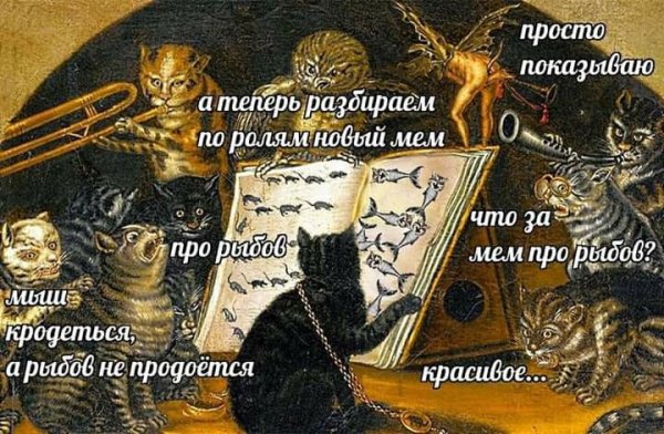 Красивое кот Мем
