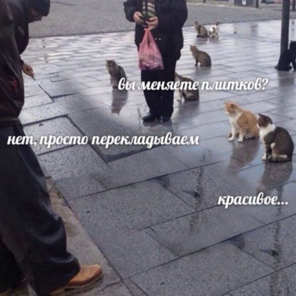Рыбов продаете