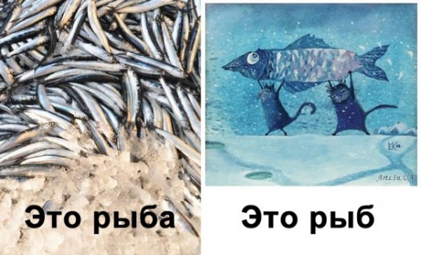 Мем про Рыбов