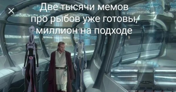 Коты и рыба Мем