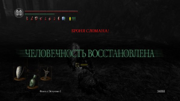 No Humanity Dark Souls