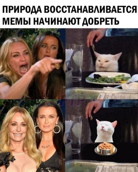 Моя человечность Мем