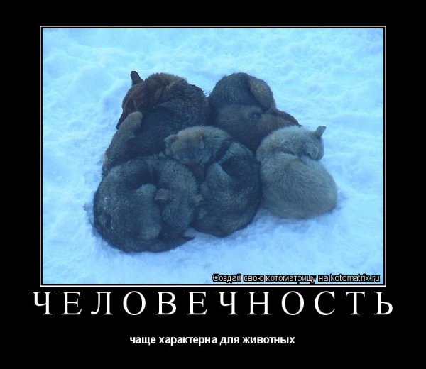 Верни картинку Мем