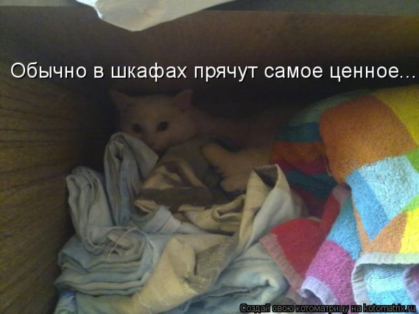 Я В шкафу прячут