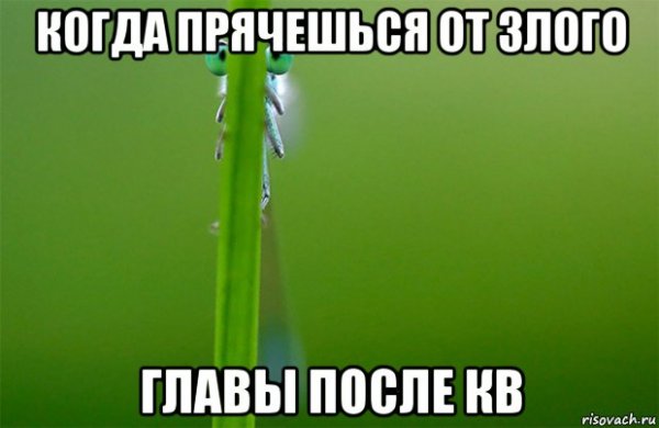 Скрывается Мем