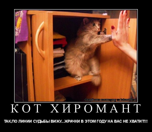 Подпись кошка