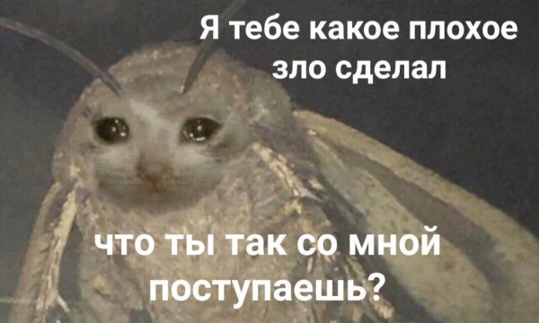Какоетзло я тебе сделал