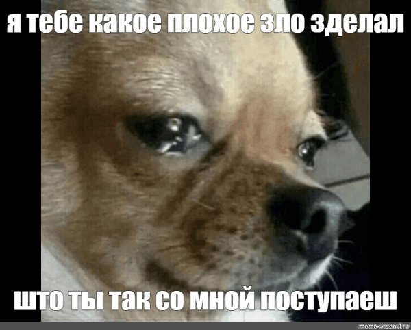 Я тебе кпкте плохре хло сдклво