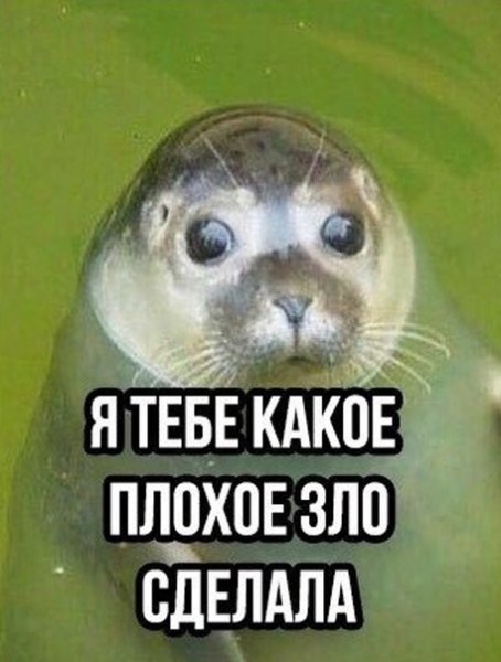 Я тебе какое плохое зло сделал