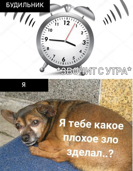 Я тебе какое плохое зло сделал кот