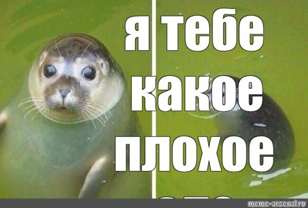 Какое зло я тебе сделал