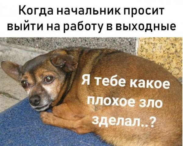 Я тебе какое плохое зло сделал