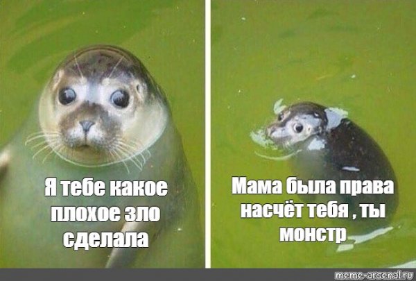 Какое зло я тебе сделал