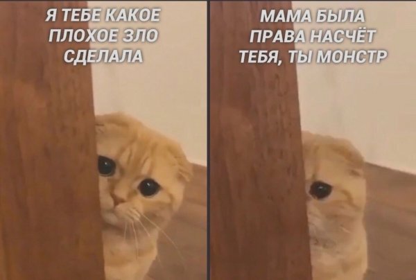 Какое плохое зло я сделал