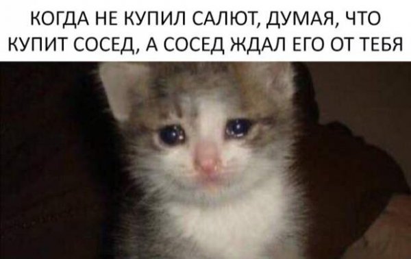 Обиженная собака Мем