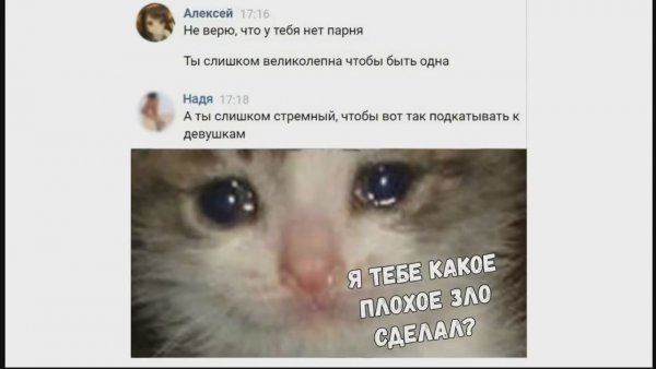 Какое зло я тебе сделал Мем