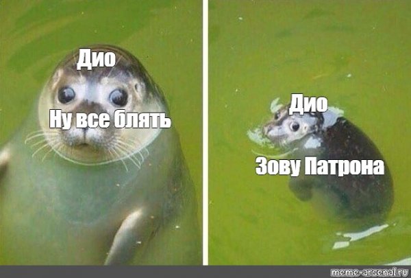 Тюлень плохое зло