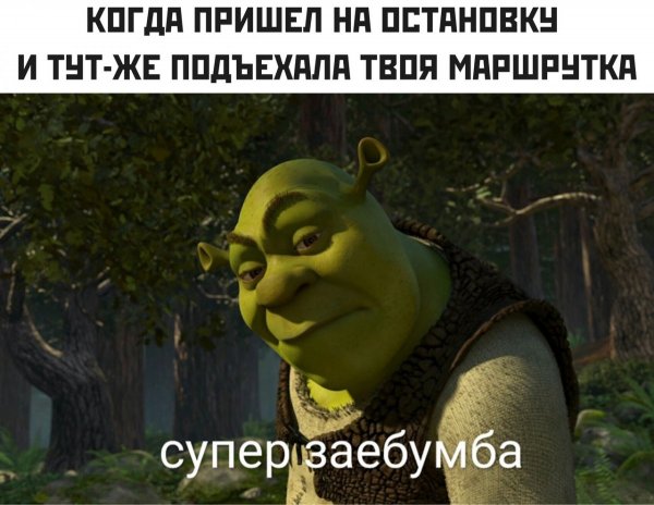 Шрек Мем заебумба