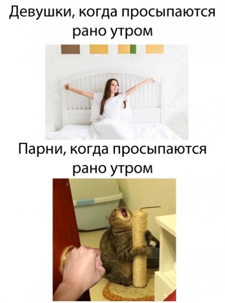 Когда встаешь утром