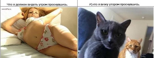 Просыпаюсь в 4 утра и не могу уснуть