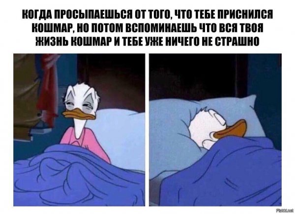Папа Проснись