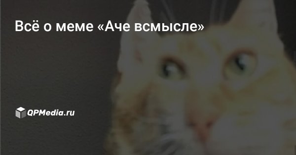 Аче всмысле Мем кот