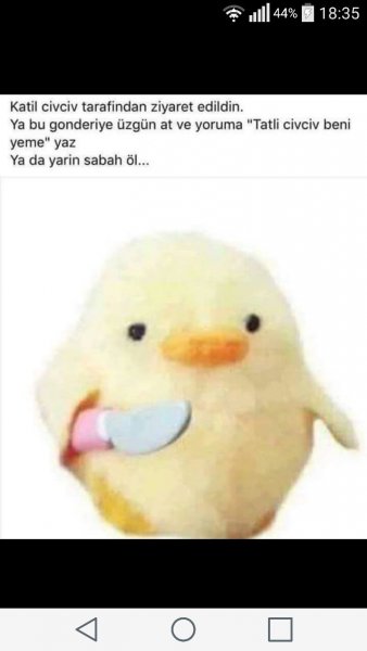 Утка с ножиком