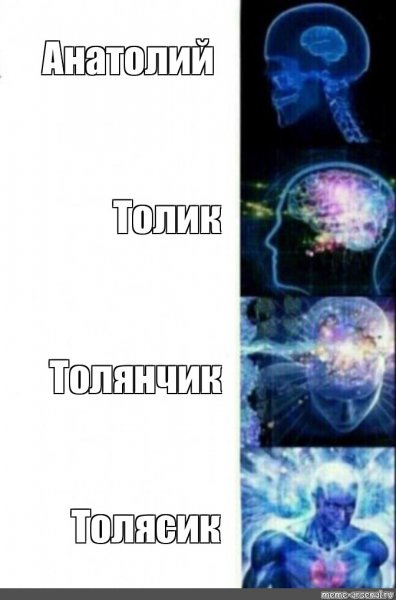 Анатолий полено мемы
