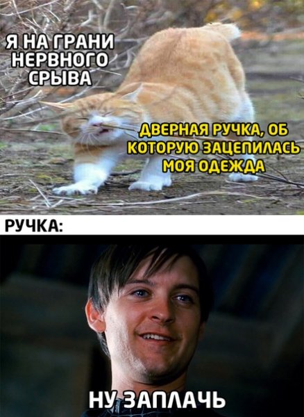 Ну давай заплачь