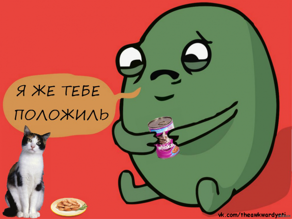 Почка я сделяль