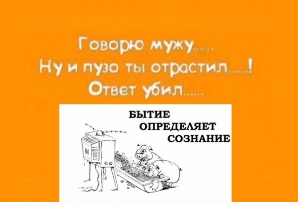Говорю музу ответ убил