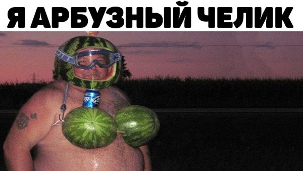 Современные мемы 2021