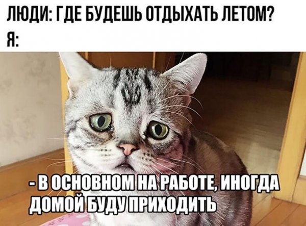 Мемы про работу
