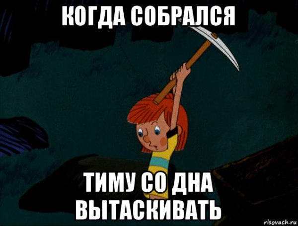 Член Тимофея
